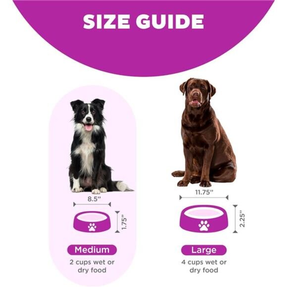 Dog Bowl feeder Puppy bowl Slow Feeder Medium size Purple - Picture 7 of 7